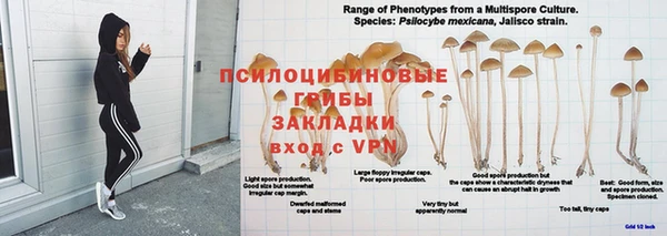 гашик Абдулино