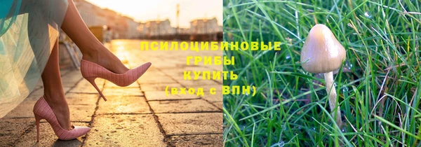 спайс Абаза