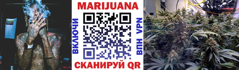 Канабис план  дарк нет наркотические препараты  Железноводск  наркота 